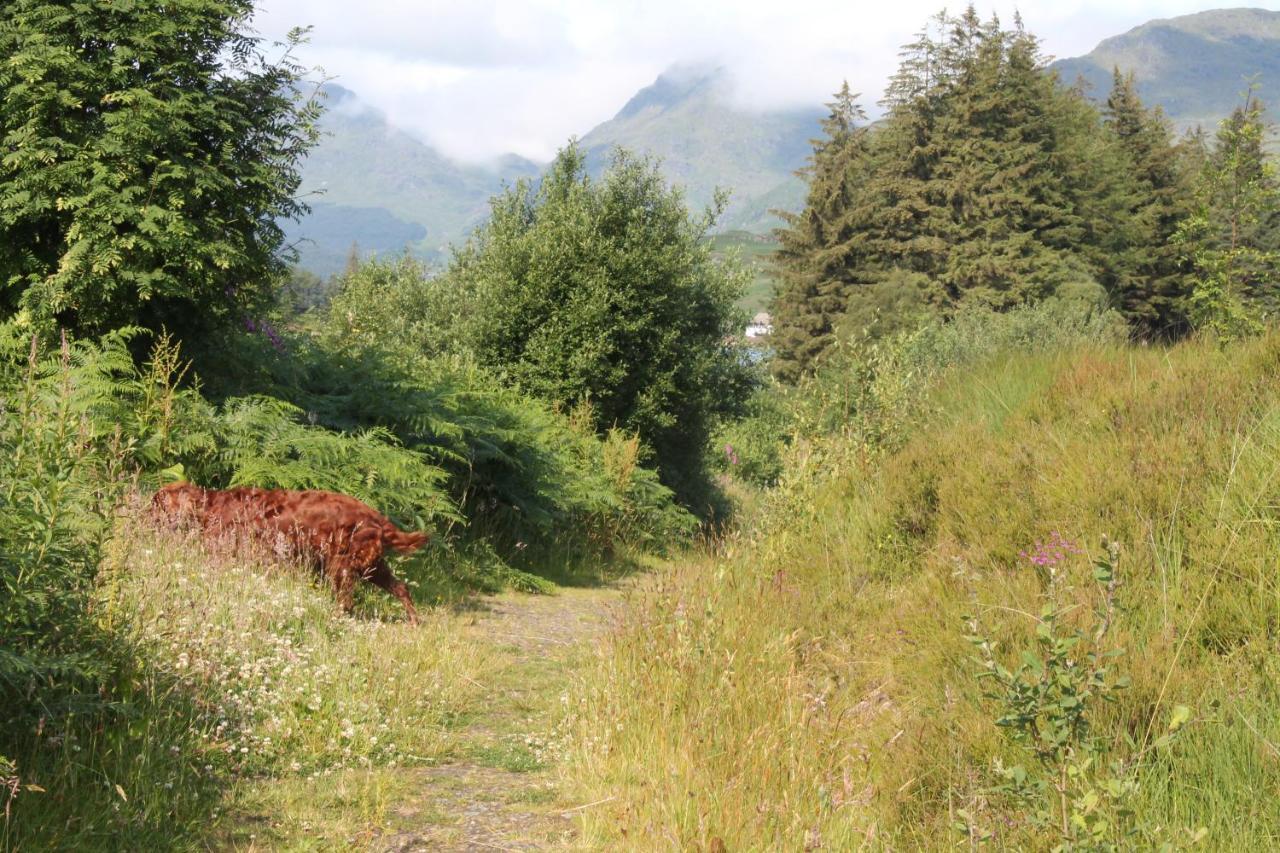 Loch Arklet House Bed & Breakfast Stirling Bagian luar foto